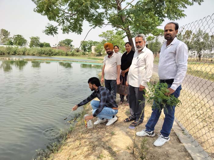 ਨਵਾਂਸ਼ਹਿਰ  ਦੇ ਵੱਖ ਵੱਖ ਪਿੰਡਾਂ ਦੇ ਛੱਪੜਾਂ ਵਿੱਚ ਮੱਛੀਆਂ ਛੱਡੀਆਂ।